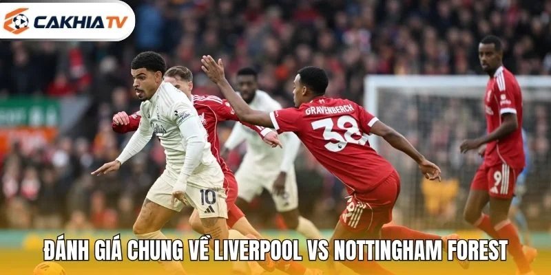 Đánh giá chung về Liverpool vs Nottingham Forest
