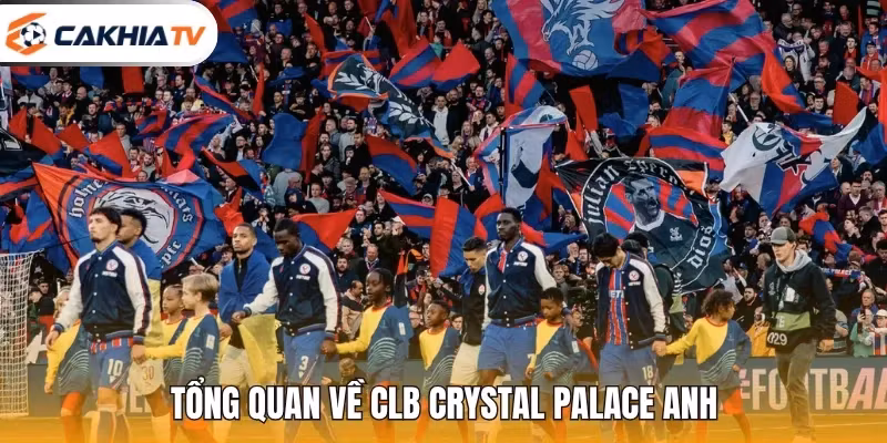Tổng quan về CLB Crystal Palace Anh